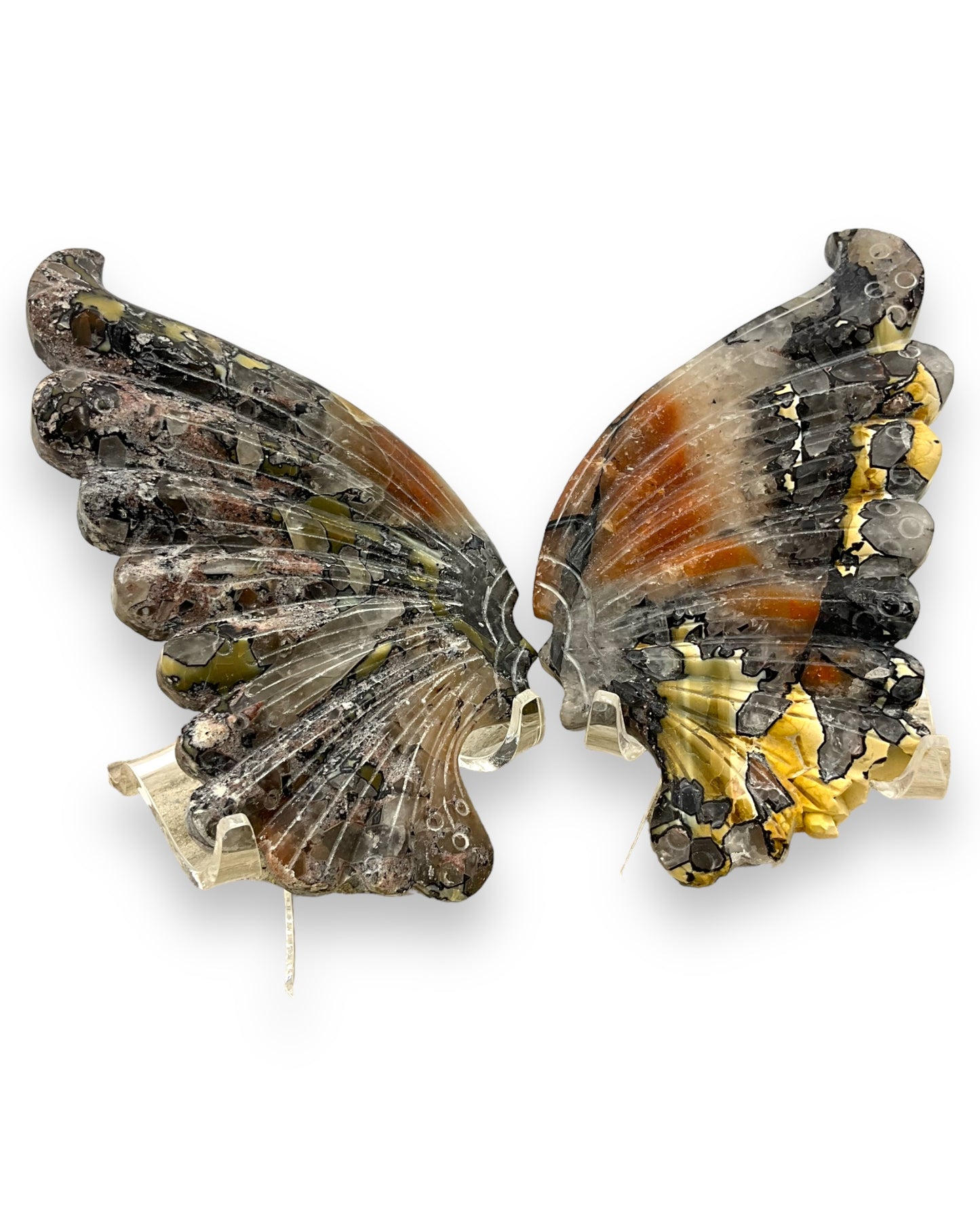 Jasper Butterfly Wings