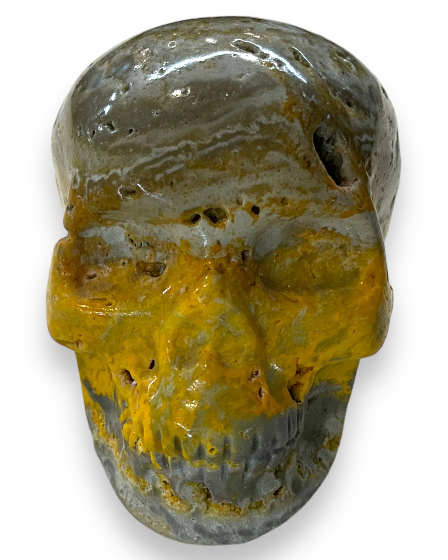 Bumble Bee Jasper Skull