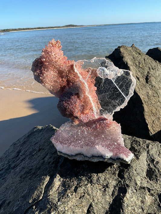 Angel Wing Selenite on Pink Amethyst Flower