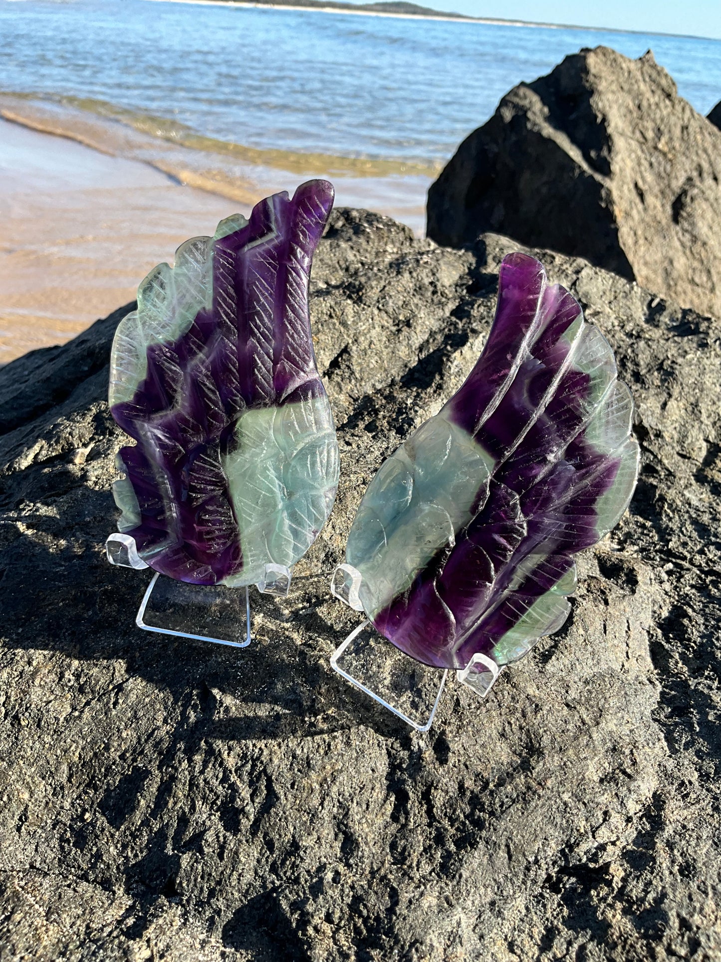 Rainbow Fluorite Wings