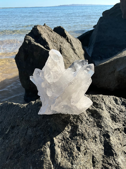 Clear Quartz Cluster