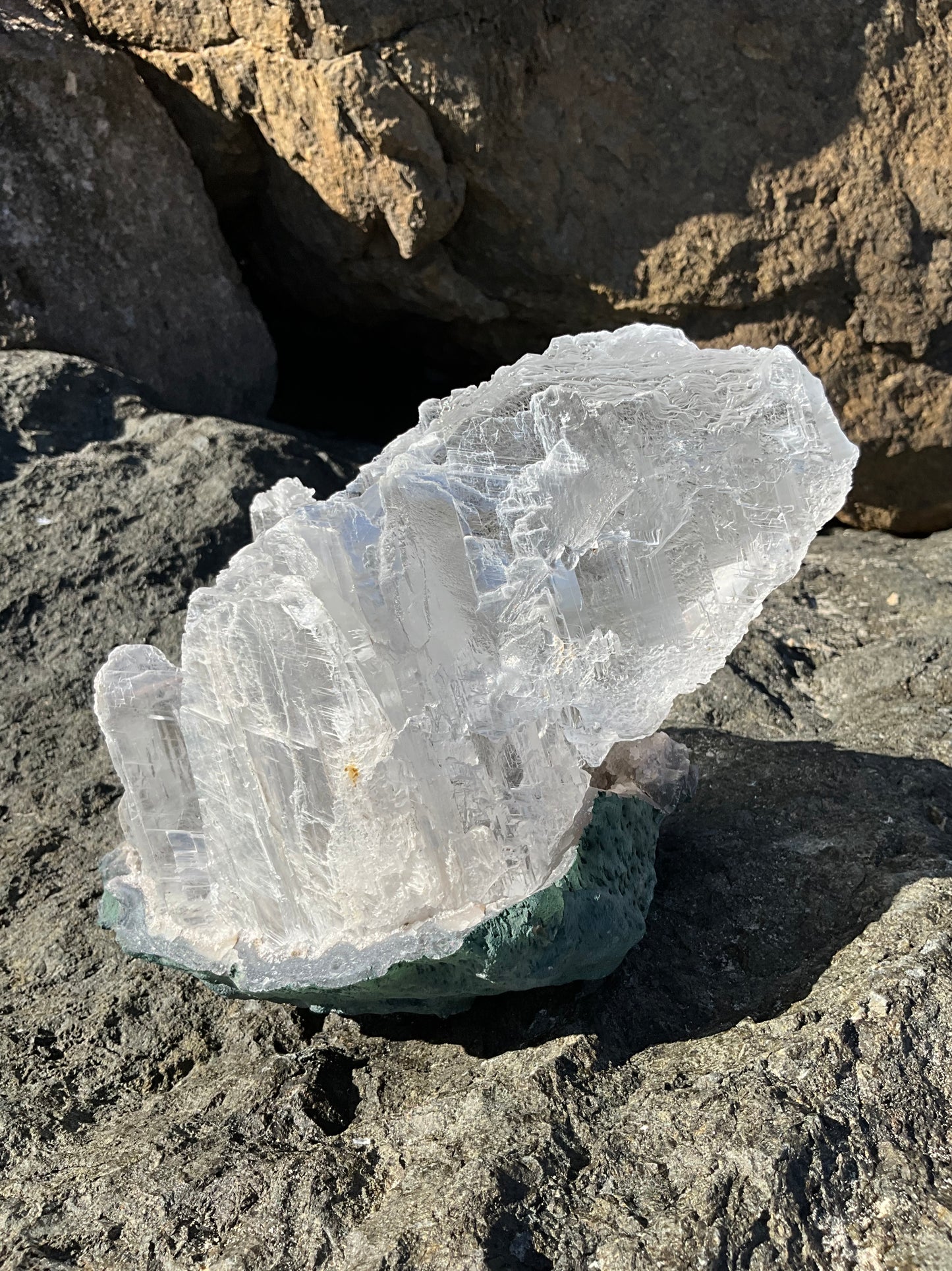 Angel Wing Selenite