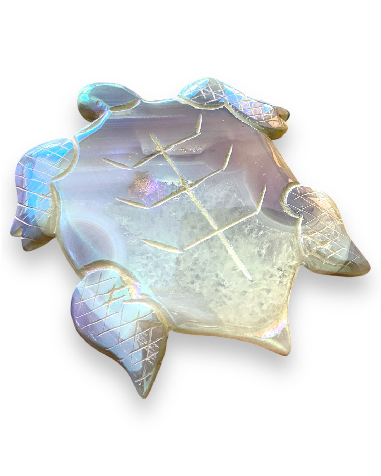 Agate Aura Turtle