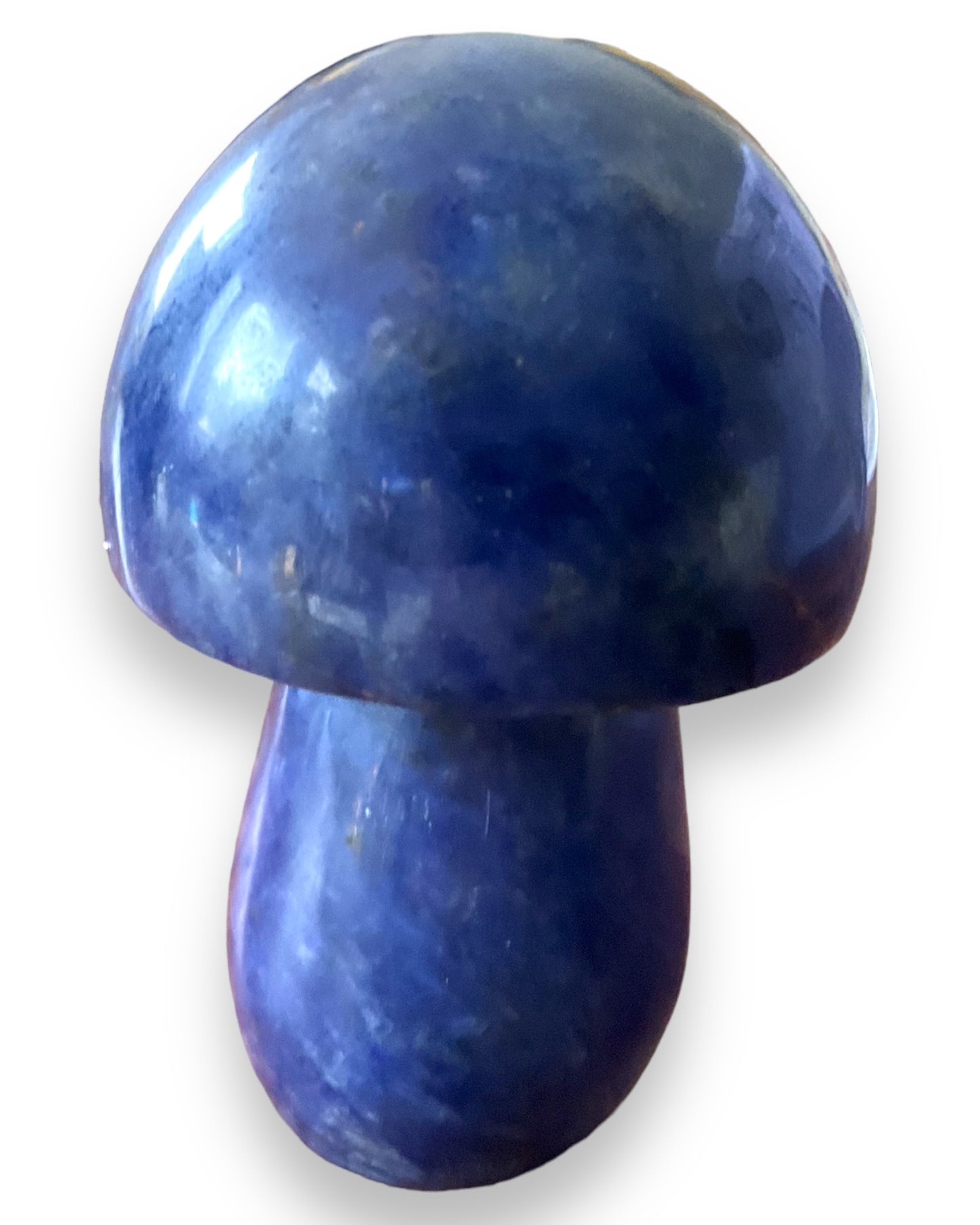 Sodalite Mushroom