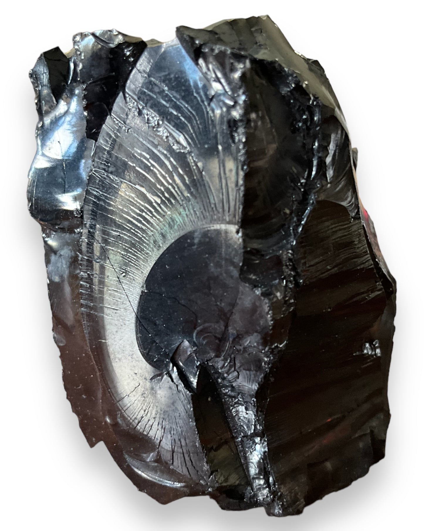 Noble Shungite