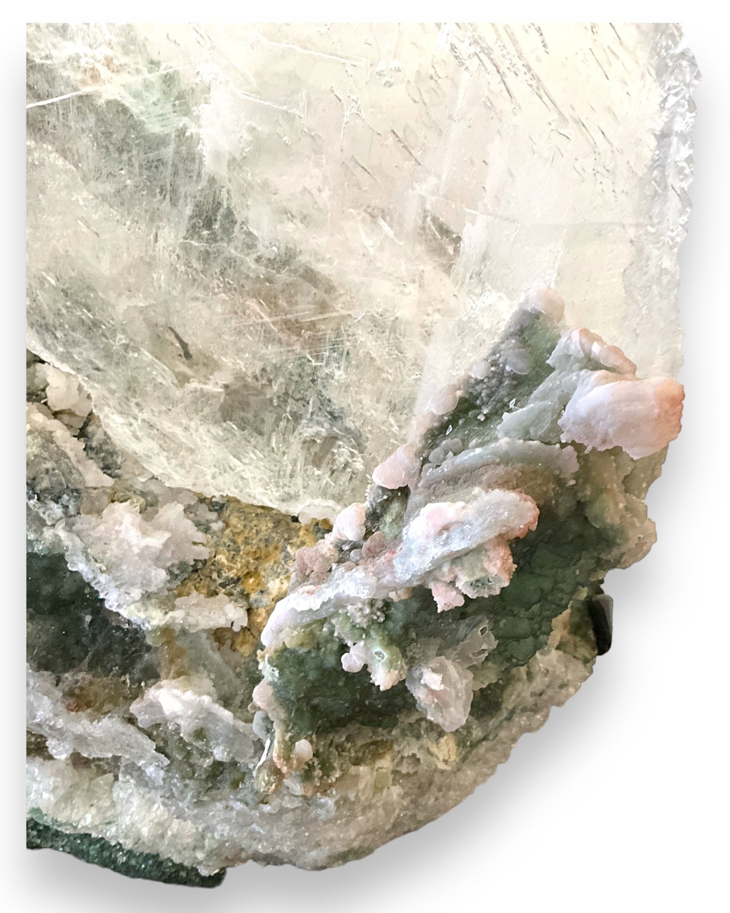 Angel Wing Selenite on a green Amethyst Matrix