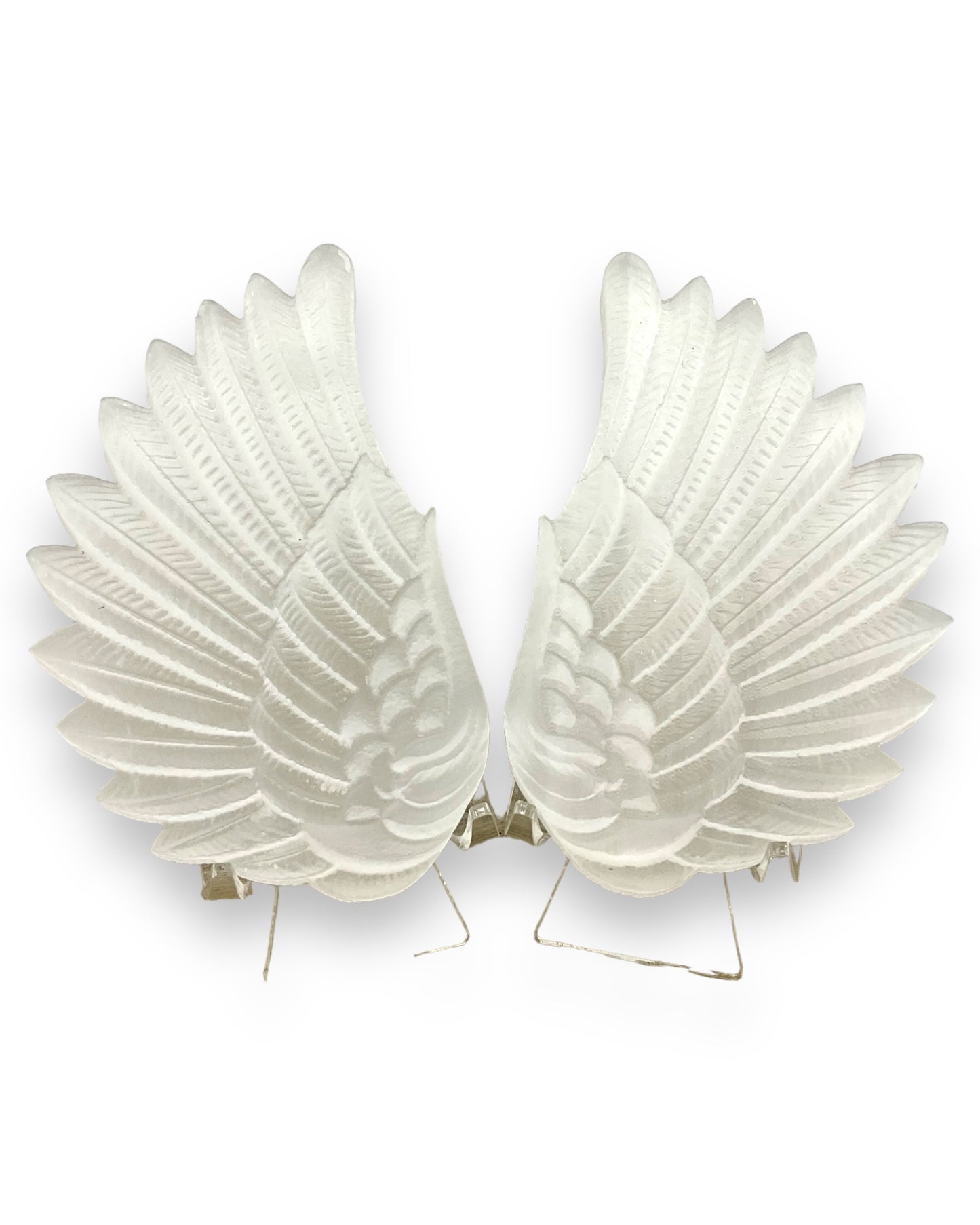 Selenite Wings