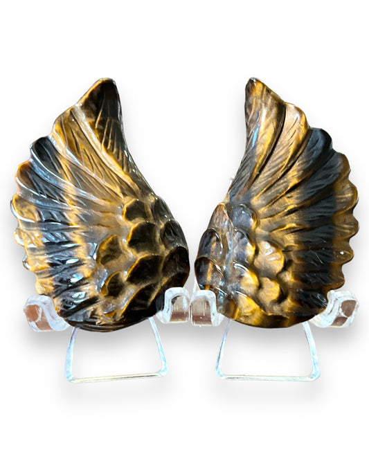 Tigers Eye Wings