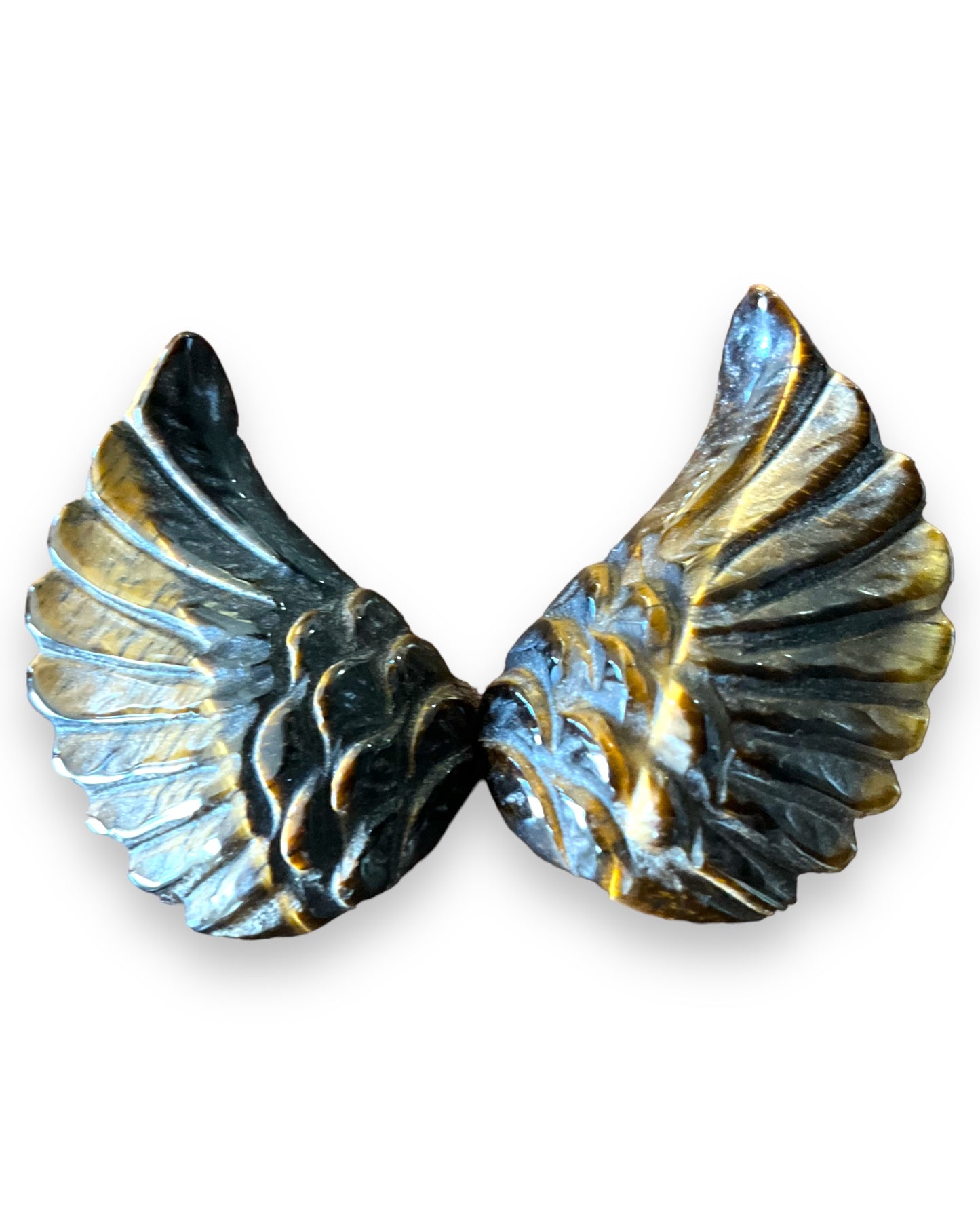 Tigers Eye Wings