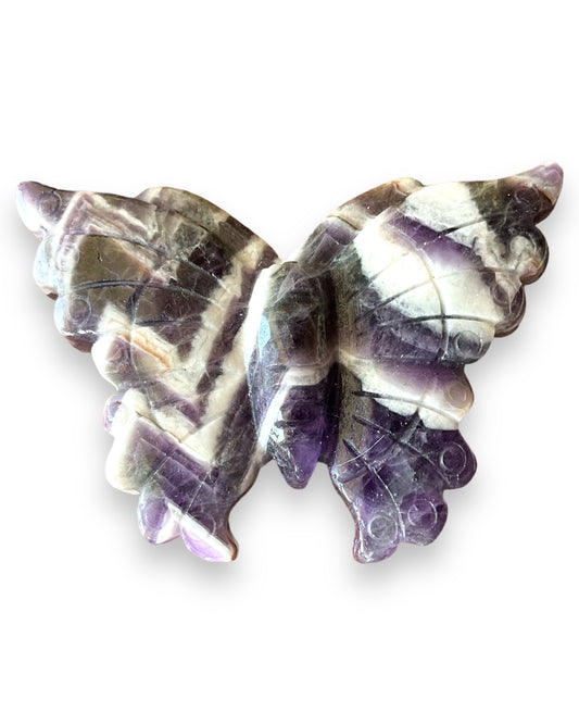 Chevron Amethyst Butterfly