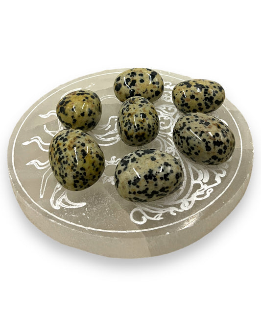 Dalmatian Jasper Tumbled Stone