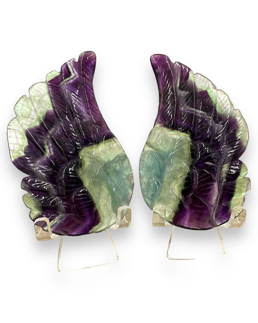 Rainbow Fluorite Wings