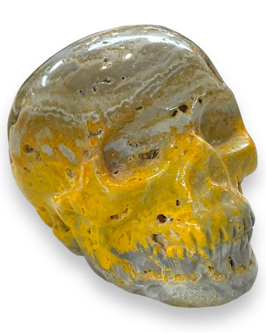 Bumble Bee Jasper Skull