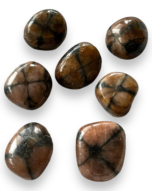 Chiastolite Tumbled Stone